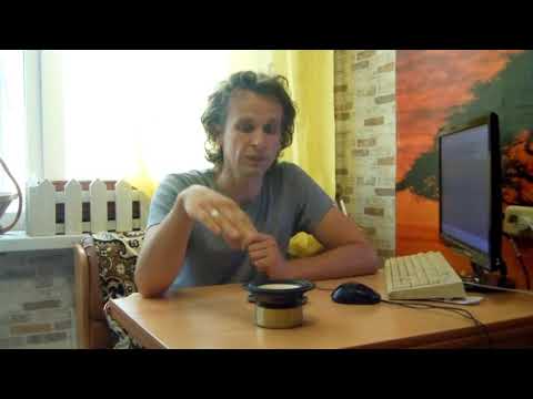 What is the speaker's quality factor?