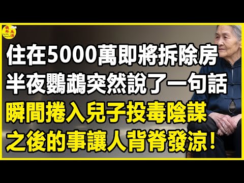 我75歲，住在5000萬即將拆除房，半夜鸚鵡突然說了一句話，瞬間捲入兒子投毒陰謀，之後的事讓人背脊發涼！#晚年生活 #中老年生活 #為人處世 #生活經驗 #情感故事 #幸福人生 #上了年紀該明白的事