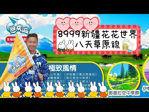 8999新疆花花界八天草原線🌷來感受最美薰衣草季節🪻新景點「天山花海」太美了！🍯#旅行#旅行團#旅游#香港#新疆#中國#草原#薰衣草#獨庫公路#風景#花#烏魯木齊#西北#想旅遊#齊齊玩#純玩團#純玩