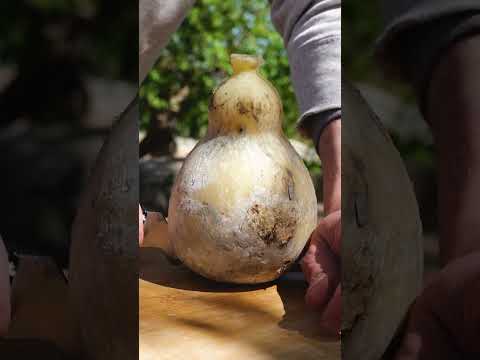 Better than an Easter egg! 🐣