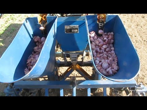 Посадка чеснока мотоблоком!