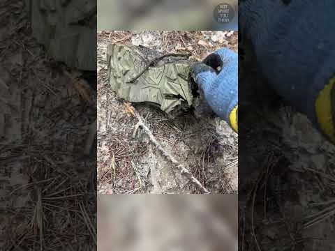 Germany's Deadly Anti-Personnel Mine