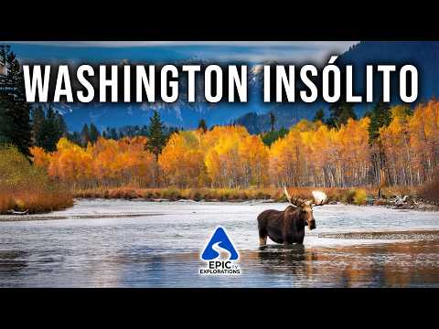 WASHINGTON INSÓLITO | Los Lugares Más Extraordinarios y las Gemas Ocultas | 4K Estados Unidos