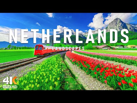 Netherlands 4K - Relaxing Music With Beautiful Natural Landscape - 4K Video UHD