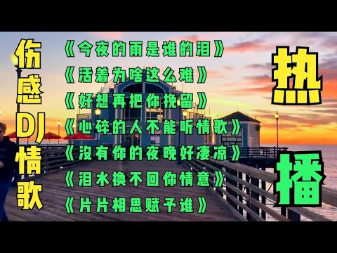 2022经典DJ情歌《今夜雨是谁的泪+活着为啥这么难+好想把你挽留》