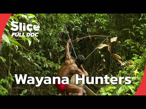 The Last Wayana Hunters: Survival, Nature, and Change | FULL DOCUMENTARY