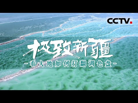 你是否见过这样的新疆：极致的自然 极致的生物 极致的情感——极致新疆【CCTV纪录】