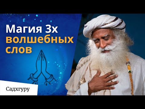 Отбросьте мораль и просто примите жизнь