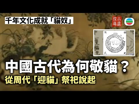 Exploring Ancient Origins | The Tale of a Cat Descending to Earth (Part 1): Why Did Ancient China...