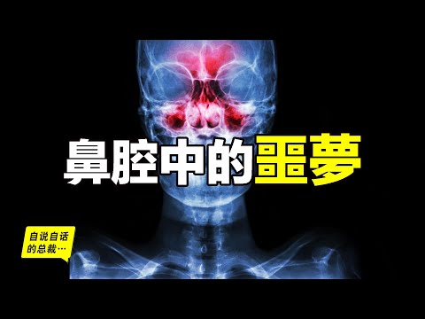 When You Got Rhinitis, That’s What Happens Inside Your Body...丨The Self-Talking Boss