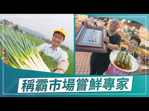 草地狀元-市場裡的傳奇美食  想吃什麼通通都有！(2021.09.13播出)