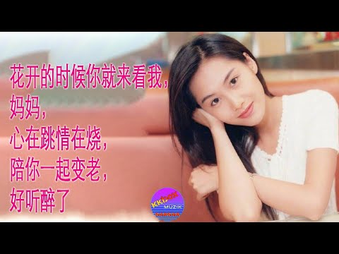 热门情歌 || 花开的时候你就来看我，妈妈，心在跳情在烧，陪你一起变老，好听醉了！