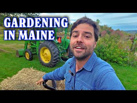I Rebuilt Someone Else's Garden! | Jacques In The Wild