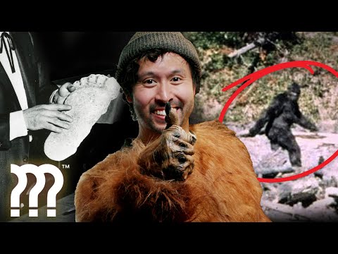 IS BIGFOOT REAL? • Mystery Files