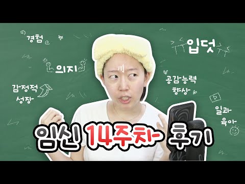 임신 14주차까지 후기