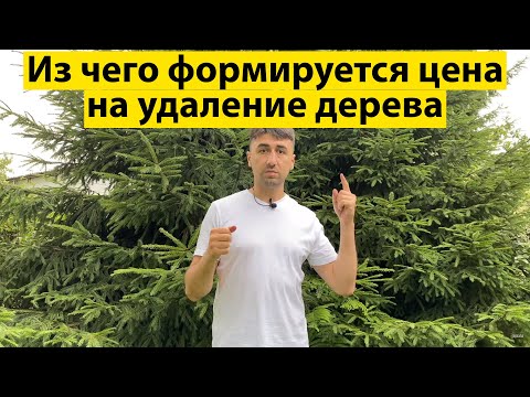 Из чего формируется цена на удаление дерева.