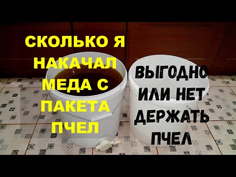 СКОЛЬКО МЕДА ПРИНЕС ПЧЕЛОПАКЕТ ЗА СЕЗОН | ВЫГОДНО ЛИ ДЕРЖАТЬ ПЧЕЛ | Пчеловодство для начинающих