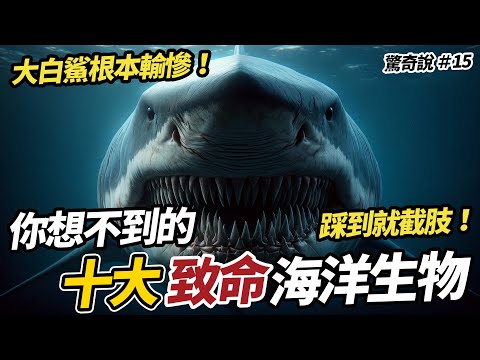 【小心】最可怕的10大海洋生物！第六個是「世界毒王」，比氰化物毒1200倍！｜驚奇說 #15