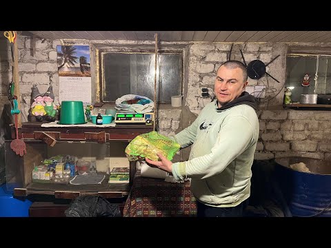 Two of them were taken out! How many of whom does Fiona have?