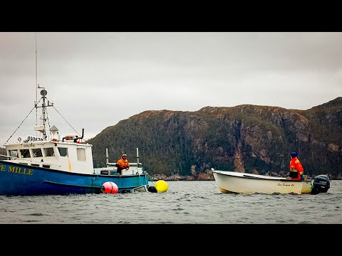 Living on an Off-Grid Island – We Woke Up to a Sunken Boat