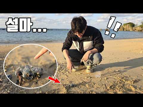※필수시청※ 해변에서 놀다가 저희 아이도 당할뻔 했네요...만지면 진짜 죽을수도 있습니다!