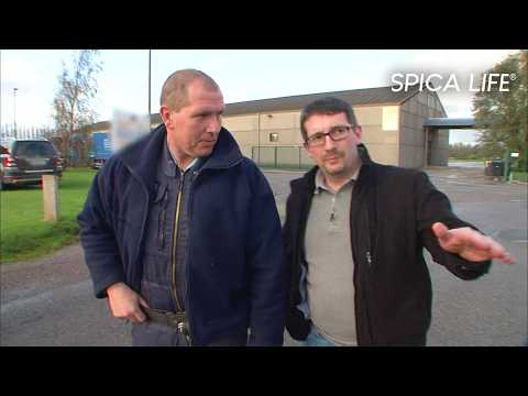 Calais : le vol qui secoue toute la ville