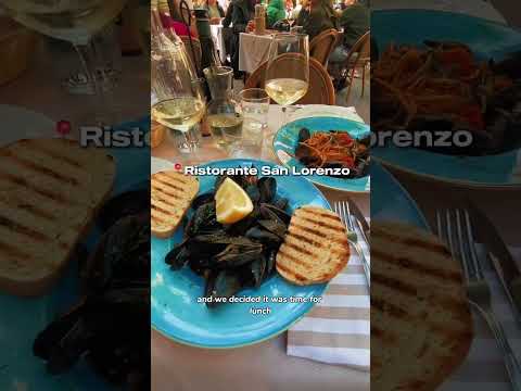 Lake Garda day trip vlog #italyvlog #lakegardathingstodo #dayinmylifevlog