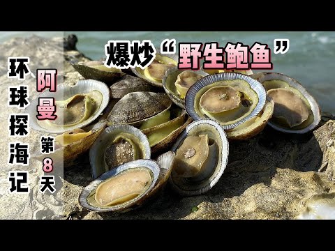 《环球探海记》阿曼~第8天:今天带1位英国朋友去赶海,让他感受到什么是“野生鲍鱼”泛滥!