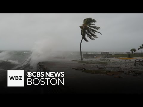 Latest details as Hurricane Melissa makes landfall in Jamaica