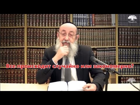 Все происходит случайно или закономерно? Тора, наука и тетя Белла 7. Рав Ашер Кушнир