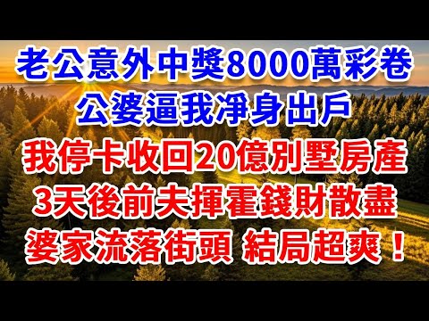 老公意外中獎8000萬彩卷，公婆逼我凈身出戶，我停卡收回20億別墅房產，3天後前夫揮霍錢財散盡， 婆家流落街頭，結局超爽！#思妤說故事#為人處世#生活經驗#情感故事#晚年哲理#說故事#完結文#原創故事