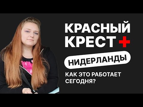 Подалась в Красный Крест в Нидерландах. Как это работает сейчас?| Интервью