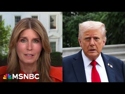 'Childish, crass, vulgar, dumb': Nicolle Wallace reacts to President Trump's AI posts