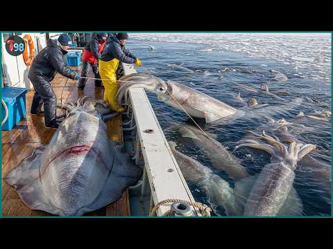 Japan’s Insane Fishing Scale – 8,300 Tons of Seafood Pulled from the Ocean Every Day