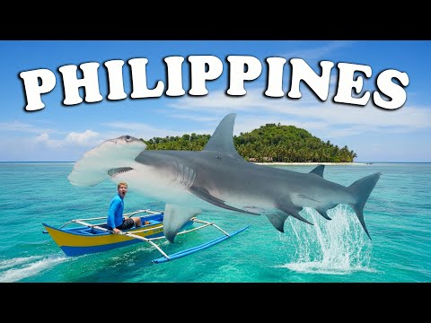 Untamed Earth Philippines | From Hidden Seas to Ocean Giants