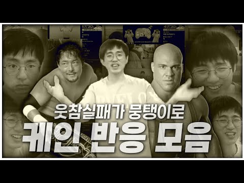 케인 반응 모음