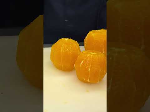 The Next Shohei Otani? Training Secrets of Lotte Marines Rookies