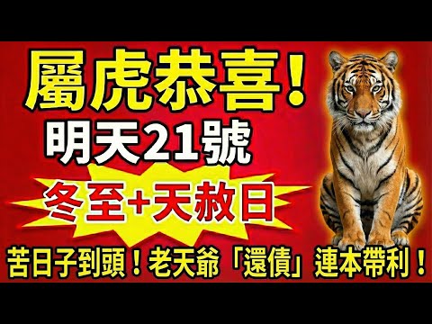 屬虎人，你的苦日子到頭了！明天21號，冬至撞上天赦日，老天爺親自來「還債」！準備好麻袋，那筆遲來的鉅款連本帶利要進帳了！#屬虎 #生肖虎運勢 #冬至 #天赦日 #屬虎運勢 #財運 #招財 #偏財