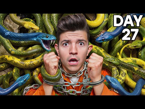 $10,000 Every Day You Survive! Escape Prison, Sit in Snakes & Outlast the Most Dangerous Challenges