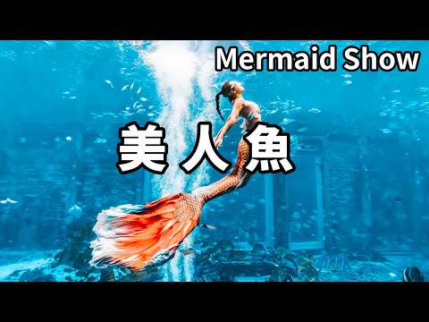 帶你看美輪美奐的亞特蘭提斯美人魚表演，瞬間感覺自己置身仙境，太震撼了！ 【大海去旅行】