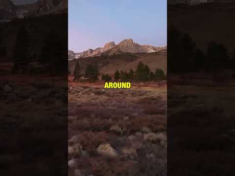 TURN OFF AUTO WHITE BALANCE on your DRONE