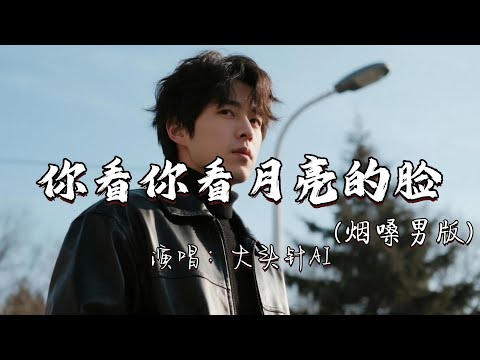 大头针AI - 你看你看月亮的脸（烟嗓男版）『高高的 高高的 蔚蓝的天 是不是 到了离别的秋天。』『动态歌词MV』#翻唱 #必听热门歌曲