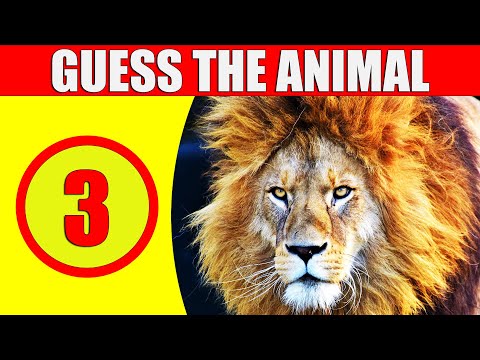 Guess the Animal in 3 SECONDS | 100 Random Animals | Game for Kids, Preschoolers, and Kindergarten