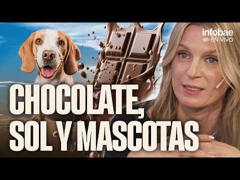 Can happiness be boosted? A neuropsychologist explains the key points | Column by Lucía Crivelli