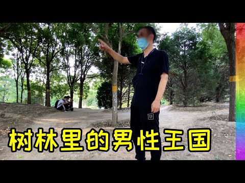 这里每晚树林里聚集着一群年轻帅哥:探秘北京朝阳区新同志聚集地【北同】