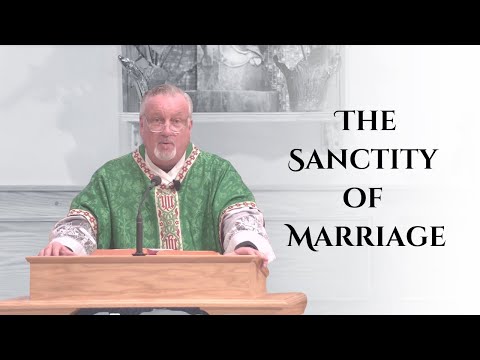 The Wedding at Cana Teaches Us a Lot ... | Fr. Dan Reehil | 2nd Sunday of Ordinary Time