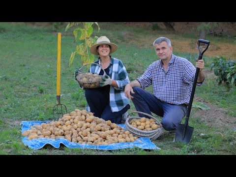 Village Family Life: Cooking Street Food, Country Lunch, and Harvesting
