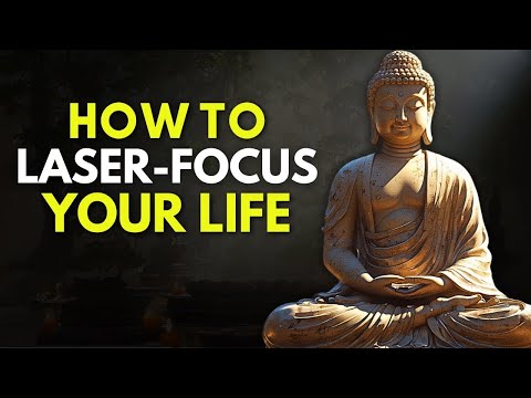 How to Focus on Your Life | Buddhism