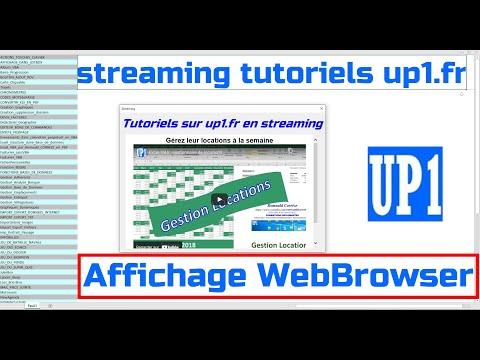 Excel-VBA: Affichage dans le WebBrowser