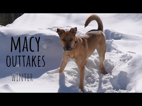 Macy outtakes - winter edition
